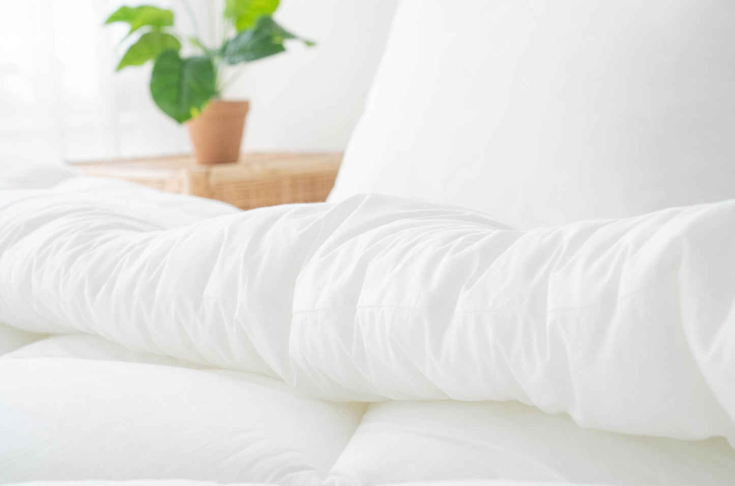 The Classic Pillowcase