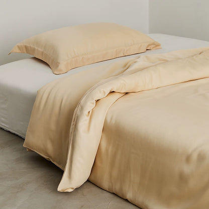 Tencel Duvet Cover Set with a pair of pillowes